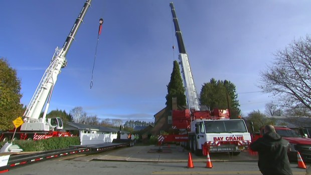National Christmas Tree lit for the 94th time
