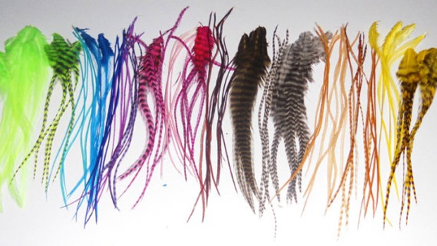 Feather Extension Fad Sparks Unlikely Fashion vs. Fly-Fishing Debate