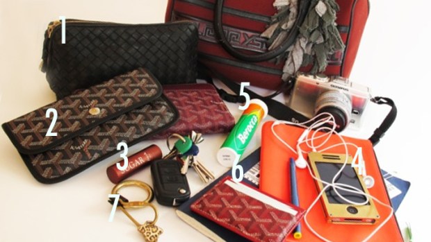 Purse Purge: Geren Ford Carries Goyard Envelopes, Berocca Vitamins
