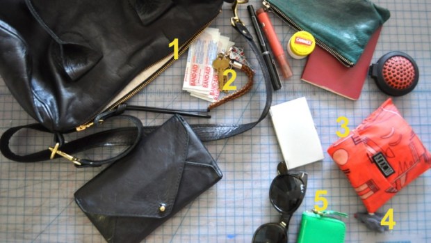 Purse Purge: Ilana Kohn Carries Cat Toys, Cover Girl Lip Stain