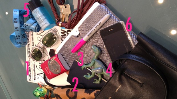 Purse Purge: Rebecca Taylor Carries Leopard Wallet, Dinosaur Toys