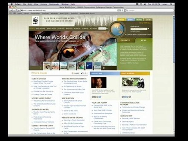 [NY] Controversial 9/11 Ad a Lesson in Going Viral