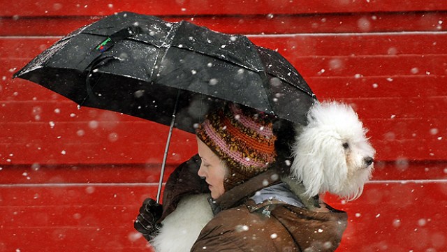 Photos: Snow Buries Big Apple