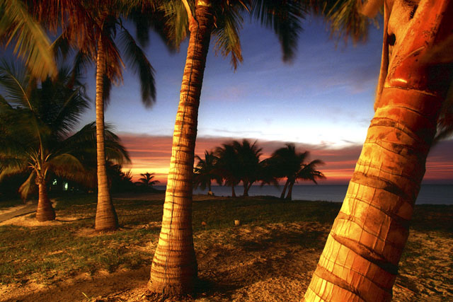 Amazing Nature Photos