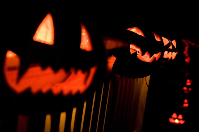 Pumpkins on Parade: Spooky and Silly Jack O'Lanterns