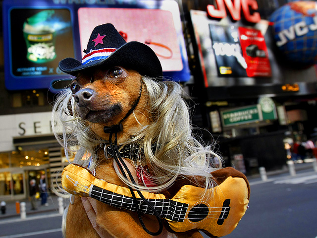 Times Square's Doggie Masquerade  