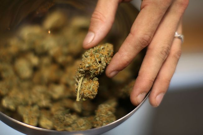 New York's Medical Marijuana Program adds Chronic Pain to Approved Conditions