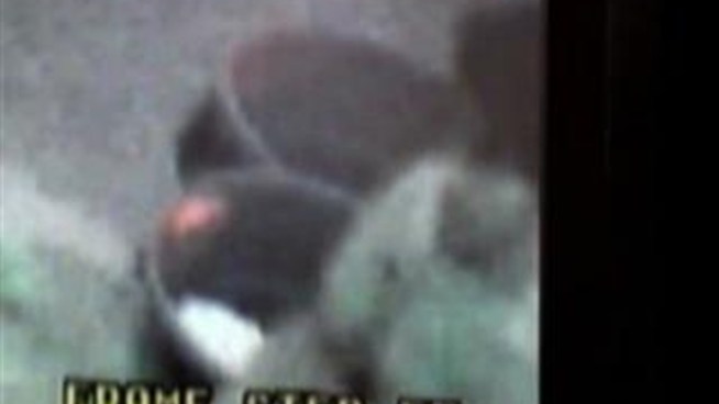 NYPD has released video of the suspect in the sex assault of a child in her home in Flushing, Queens, early Monday morning. (June 21, 2011)