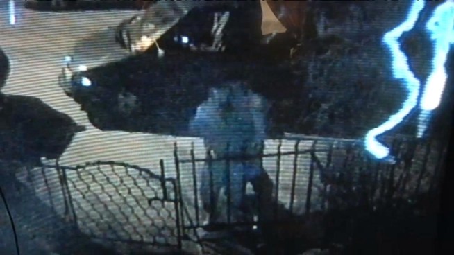 A late-night attack on a woman walking down a quiet Brooklyn street was captured on surveillance video.