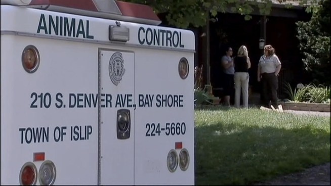 The search is on for a dog that has already attacked one person. Greg Cergol reports.