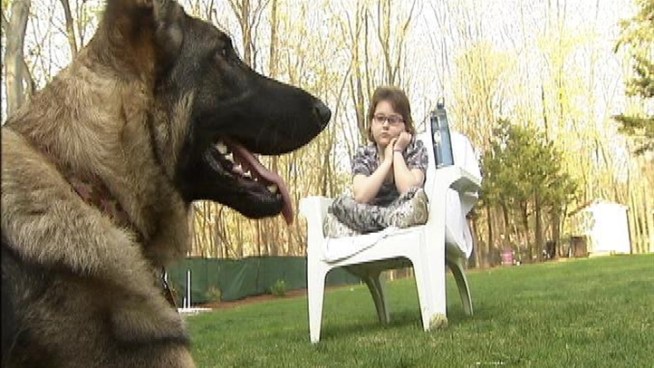 A 9-year-old girl suffering from brain cancer might lose her service dog after it allegedly bit a neighbor.
