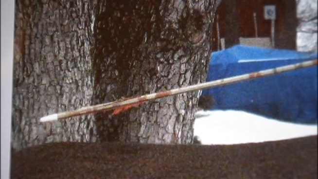 Animal lovers worry about deer with arrow in her neck