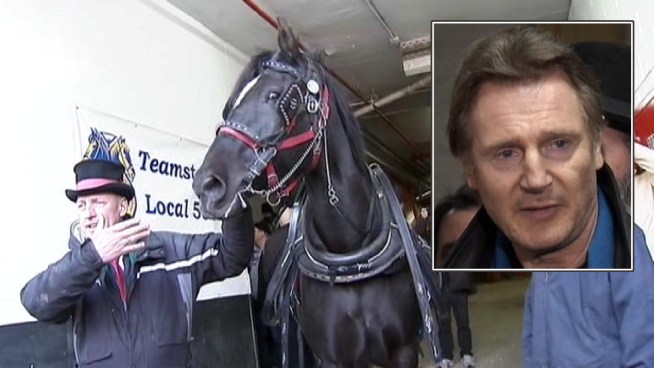 Carriage Horse Foes Picket Liam Neeson's Home