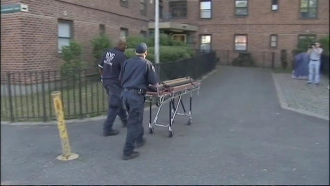 Police say the 88-year-old victim was found dead on the floor of her apartment with severe head trauma. Gus Rosendale reports.