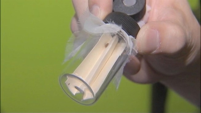 Officials are trying to stem parents' fears over bedbugs after two bedbugs were found at PS 188 on the Lower East Side in the last two months. Andrew Siff reports.