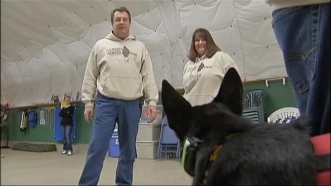 New Jersey war veterans suffering from post-traumatic stress disorder have new hope for recovery thanks to a canine therapy program called Semper Fido started last year by a dog training school.