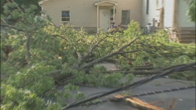 Saturday's vicious storm took down trees across the tri-state area. For residents in one New Jersey community, it could be days before power is restored. Jonathan Vigliotti reports.