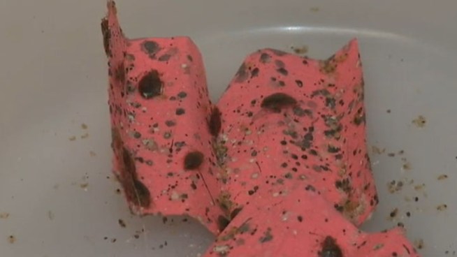 NBC New York uncovers secrets to protecting yourself from bedbugs.