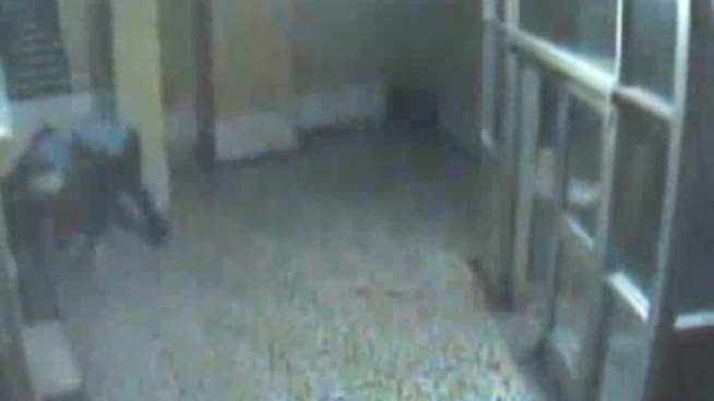 Surveillance video of the suspects in a series of robberies in the Bronx. In this incident, they attack a 64-year-old man and steal his Bible, cell phone and cash.