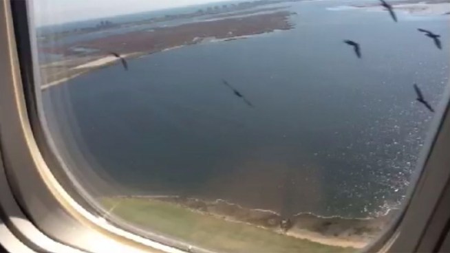 A passenger on the Delta flight that was forced to make an emergency landing minutes after taking off at John F. Kennedy Airport captures video of the birds that flew into the plane's engine. Here's the raw video.