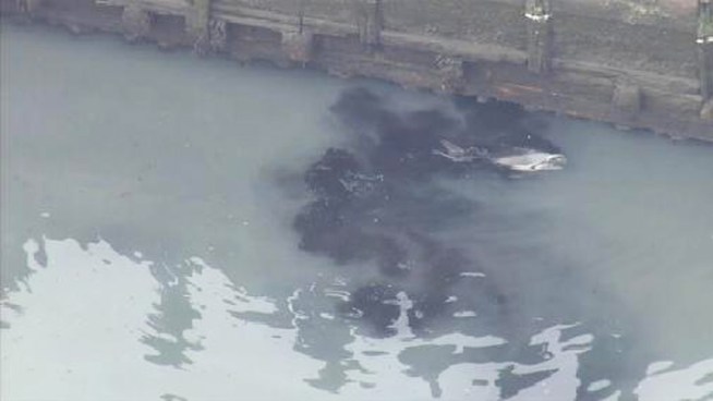 A dolphin has been reported stranded in the Gowanus Canal in Brooklyn and authorities are responding. Watch footage from Chopper 4, which was live over the dolphin Friday.