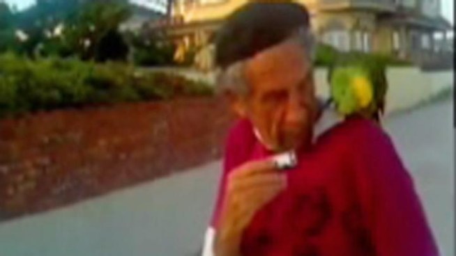 A heartbroken Brooklyn man is desperately searching for his opera-singing parrot. Captain, a 25-year-old green and yellow Amazon parrot, flew off Allen Kirson's shoulder as they went biking on the day after Thanksgiving.