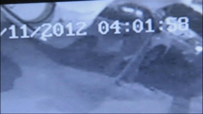 Police Wednesday released this surveillance video of a suspect in a spree of tire-slashings in the Bronx.