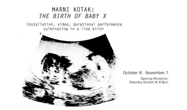 Pregnant Performance Artist Plans Gallery Birth