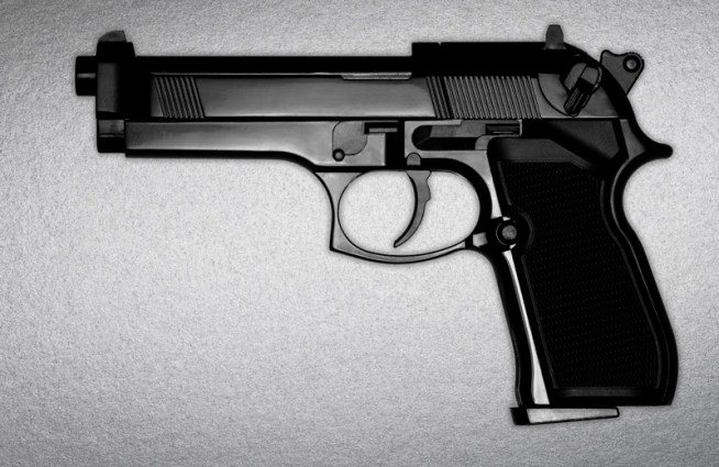 Teen Gunned Down at Holiday Roller Rink Party