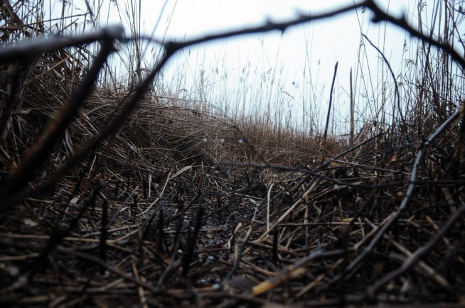 Investigators are focusing on a marshy area on Long Island, as they continue to search for the remains of missing prostitute Shannan Gilbert.  News 4's Greg Cergol reports.