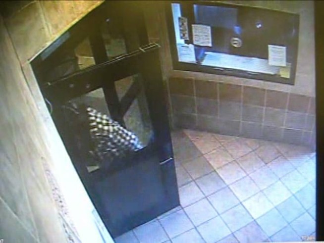 Surveillance video captures the man police believe is responsible for at least six robberies of old women in <a title=