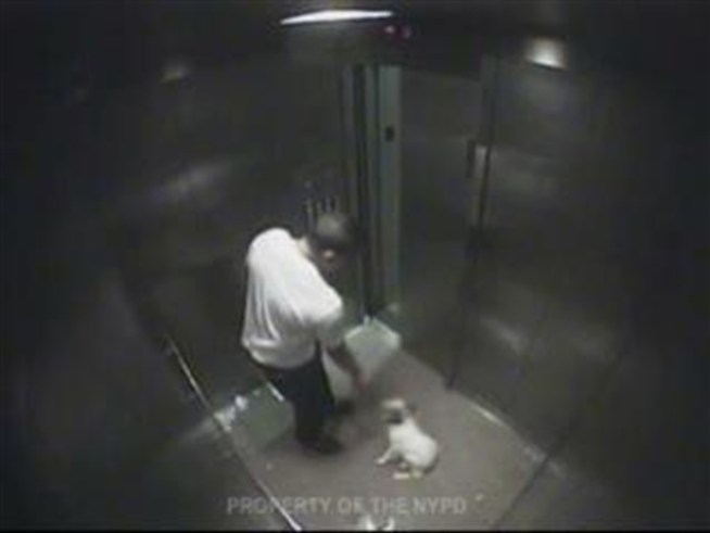 Police stumbled upon this video of a man abusing his dog, Chuvi-Duvi, a 12-pound Pomeranian-Chihuahua mix, while looking for the killer of 9-year-old Anthony Maldonado.