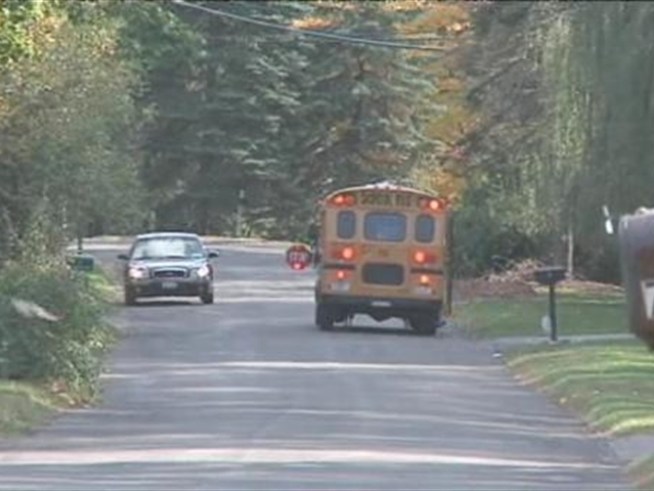 Suburb plants traps for loose bear