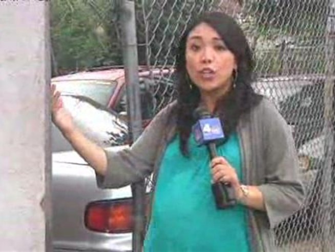 A dog owner watches in horror as her Yorkie is attacked by a mob of dogs.