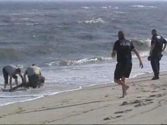 Rescue workers are racing against time to save a dolphin that washed up on West Gilgo Beach.