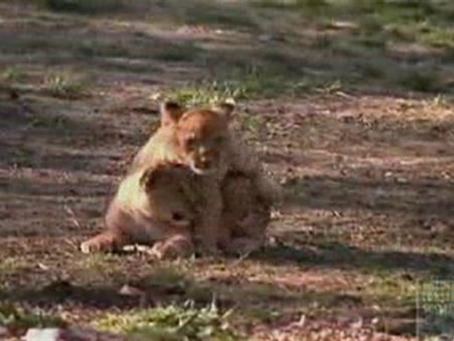 Absolutely ... adorable.