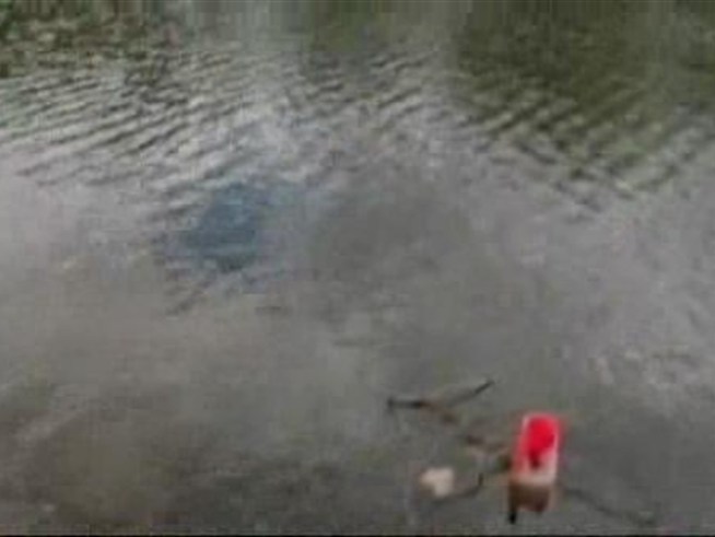 Environmental workers trying to figure out what is killing fish in <a title=