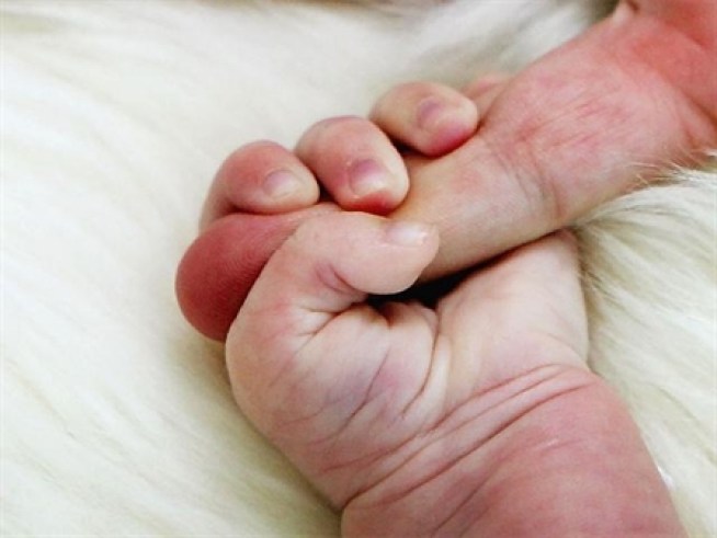 What to Do With Baby?