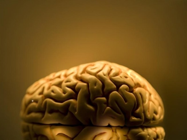 Nanobots in the Brain