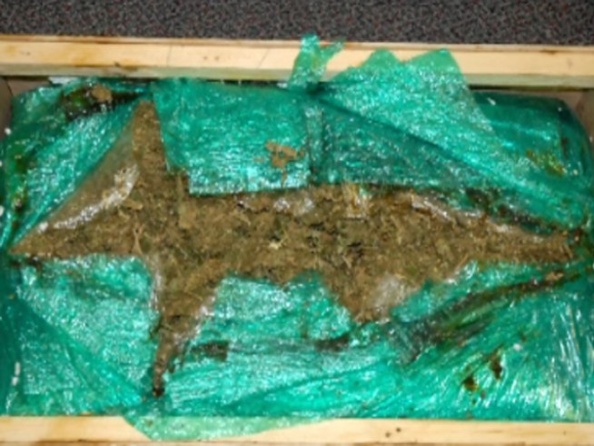 30 Pounds of Weed Delivered to Wrong Address