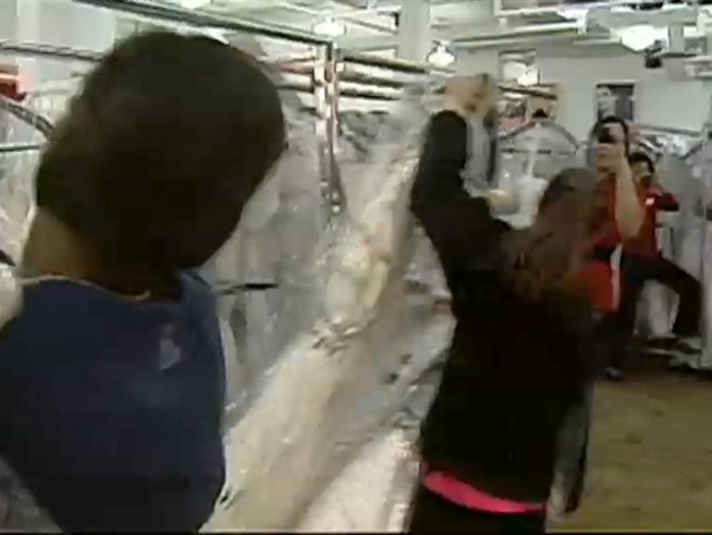 A department store eagerly waved white in front of hundreds of amped-up brides-to-be on Friday. The result was the chaotic tradition known as the 