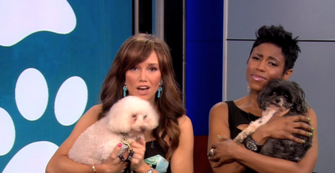 New York Live Pet Project: Cuddles and Little Guy