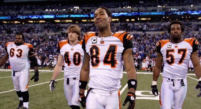 Are Giants Targeting T.J. Houshmandzadeh?
