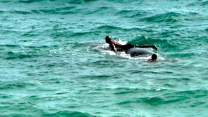 NOAA Slaps Warning on Florida Man Who Rode Whale