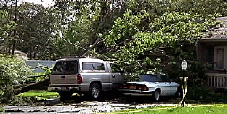 Plow trucks picked up tree limbs by the bundle, after a powerful storm tore through parts of Long Island on Friday, Jonathan Vigliotti Reports.