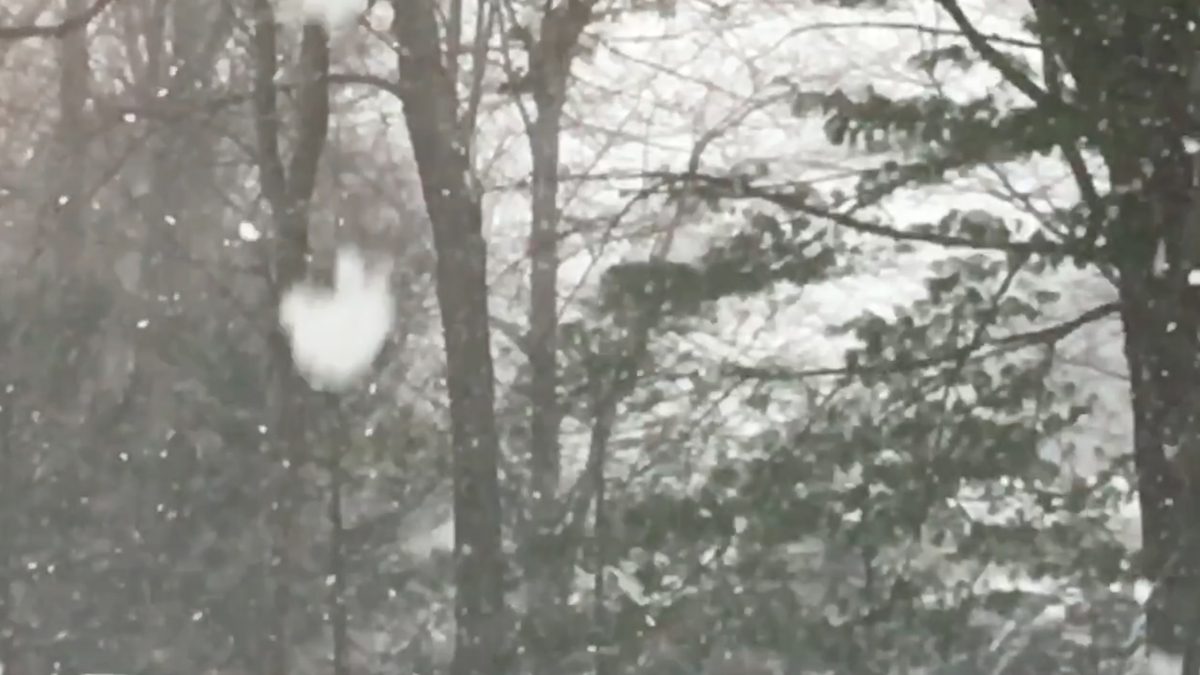 Here's What Causes Those Massive Snowflakes