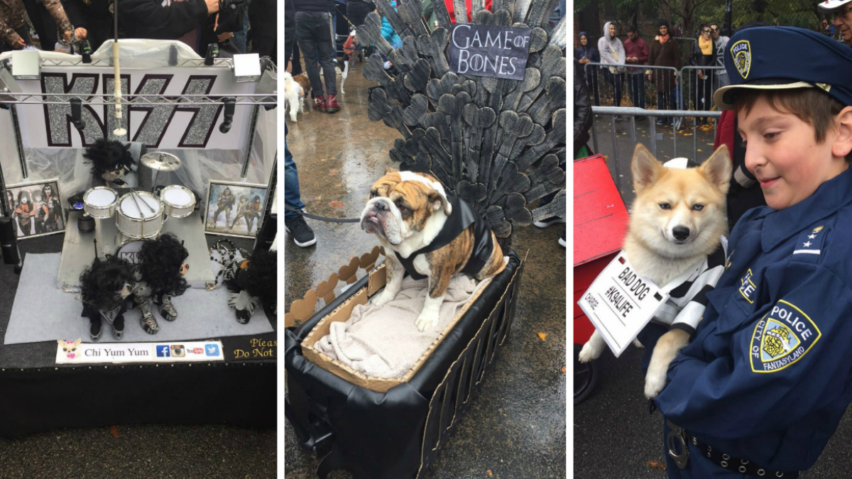 Pooches Sniff Out Best Costume Title in NYC Parade