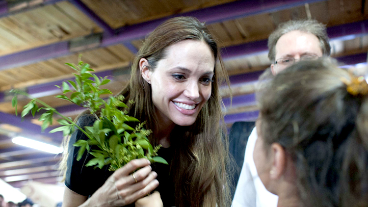 People Angelina Jolie