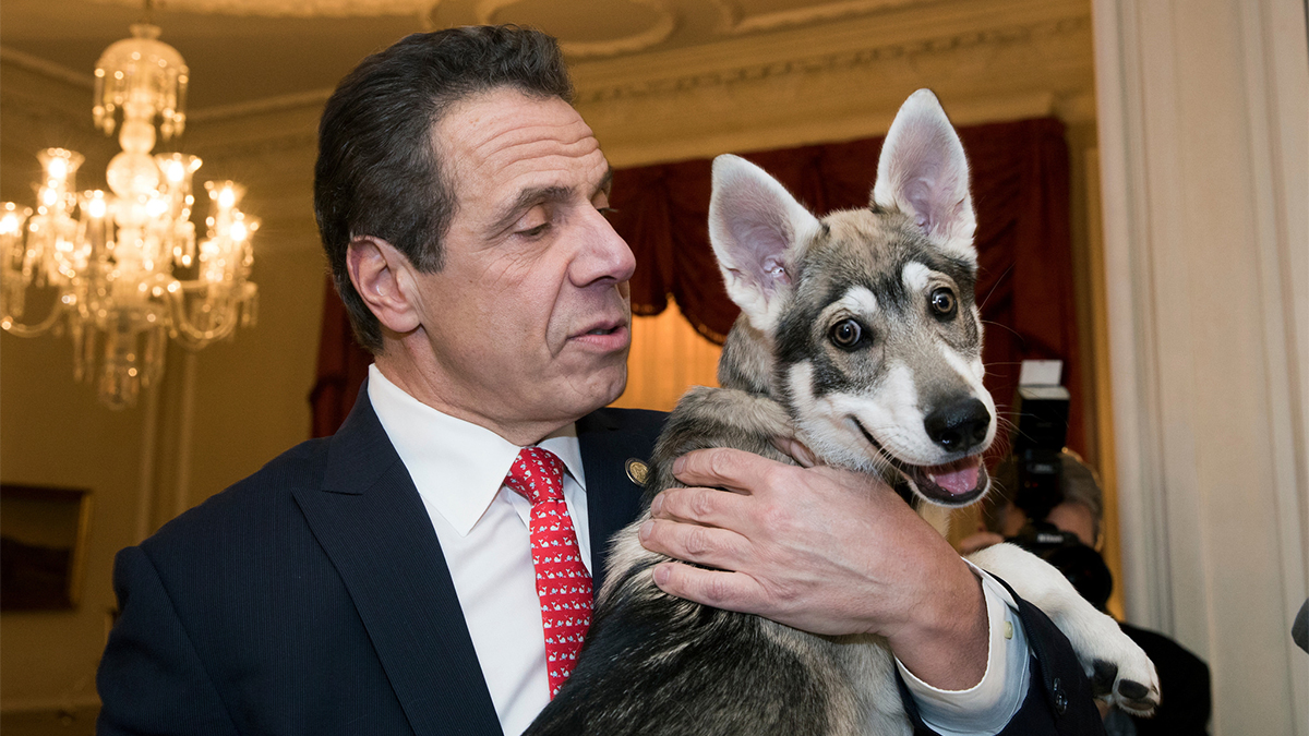 Cuomo Welcomes Four-Legged Addition to Administration ...