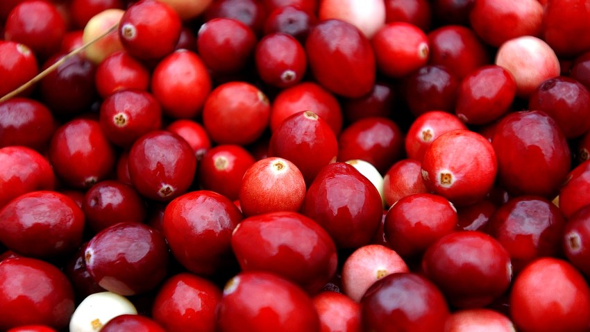 51526136DM009_cranberry